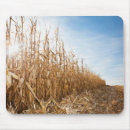 Search for corn field electronics Usa