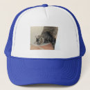 Search for the coon hats Pet