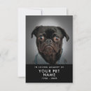 Search for pet condolences cards Dogs