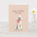 Search for white poodle cards Cute