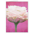 Search for scented cards Pink