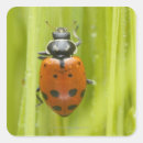 Search for plantation stickers Nature