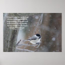 Search for black capped posters Bird