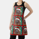 Search for silky aprons Australian silky terrier