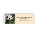 Search for china return address labels Chinese