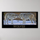 Search for snarl posters Wolves