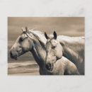 Search for prairies postcards Farm