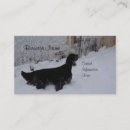 Search for setter business cards Pet
