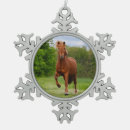 Search for ponies christmas tree decorations Funny