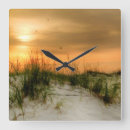 Search for seagull clocks Photography