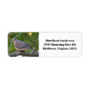 Search for mourning return address labels Dove