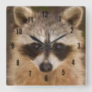 Search for cute raccoon art Forest animal