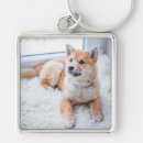 Search for cat image key rings Modern
