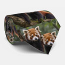 Search for cute bear ties Panda