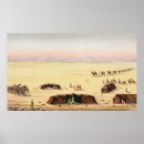 Search for camel desert posters Train