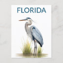 Search for herons postcards Florida