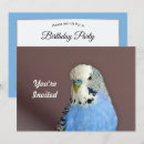 Search for parakeet” invitations Budgie