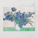 Search for vintage floral still life postcards Flowers