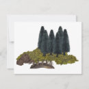 Search for natural bridge Trees