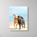 Search for teamwork canvas prints Animals