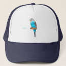 Search for bird pet hats Pets