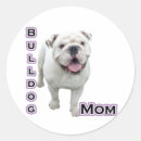 Search for english bull stickers Bully