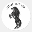 Search for black horse stickers Wild
