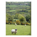 Search for lush posters Countryside