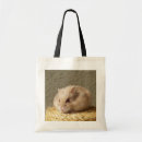 Search for hamsters bags Hammy