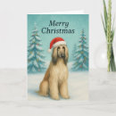 Search for afghan cards Dog mum