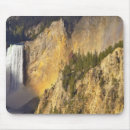 Search for chuck mouse mats Nobody
