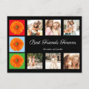 Search for gerbera daisy postcards Colourful