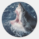 Search for open mouth stickers Animal