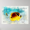 Search for racoon art Watercolor