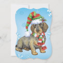 Search for doxie christmas cards Dachsie