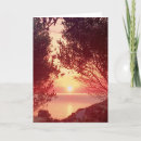 Search for filter cards Red