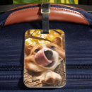 Search for pet luggage tags Keepsake