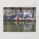 Search for street art postcards Funny