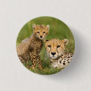 Search for cheetahs badges Baby animals