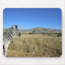 Search for national park mouse mats Wildlife