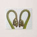Search for cutout puzzles Natural world