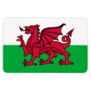 Search for wales magnets Red dragon