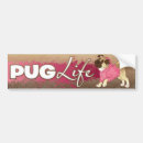Search for pug bumper stickers Cute