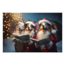 Search for aussie shepherd posters Cute