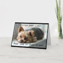 Search for yorkie pet memorials Dogs