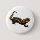 Search for salamander badges Amphibian
