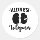 Search for kidney stickers Nurse