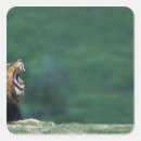 Search for lay stickers Outdoors