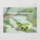 Search for toadally cards Frog