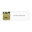 Search for grizzly return address labels Bear